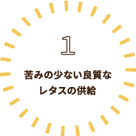 1苦みの少ない良質なレタスの供給