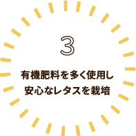 3有機肥料を多く使用し安心なレタスを栽培