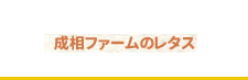 成相ファームのレタス