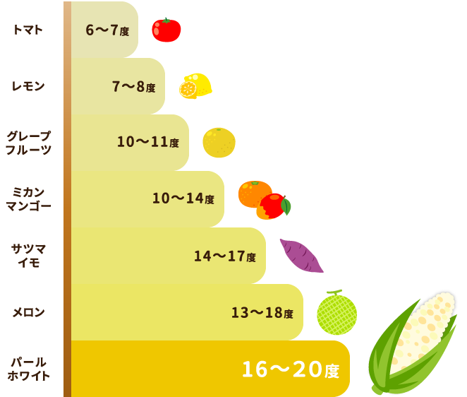 トマト6～7度　レモン7～8度　グレープフルーツ10～11度　ミカンマンゴー10～14度　サツマイモ14～17度　メロン13～18度　パールホワイト16～20度